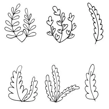 Set of Hand drawn doodle vector flowers, leaves and branches. Floral, plant e Stock Illustration