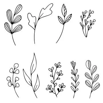 Set of Hand drawn doodle vector leaves and branches. Floral, plant elements 库存插图