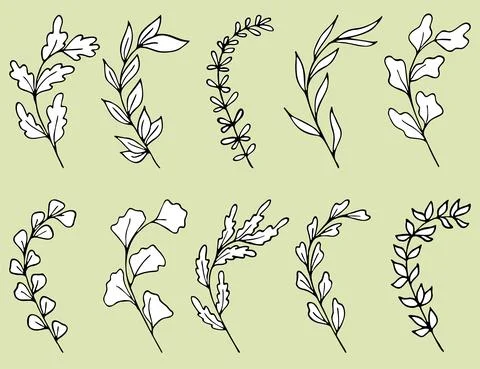 Set of Hand drawn doodle vector leaves and branches. Collection of tree Floral Illustrazione stock