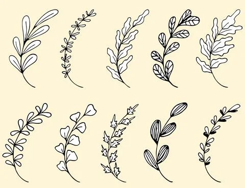 Set of Hand drawn doodle vector leaves and branches. Collection of tree Floral Stock Illustration
