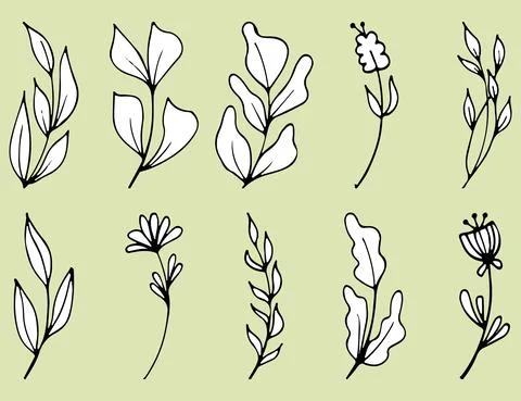 Set of Hand drawn doodle vector leaves and branches. Collection of tree Floral Stock Illustration