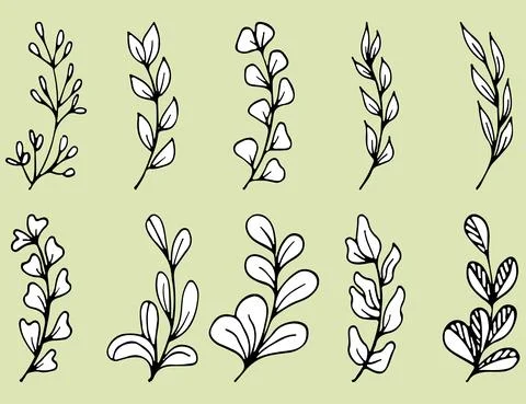 Set of Hand drawn doodle vector leaves and branches. Collection of tree Floral Stock Illustration