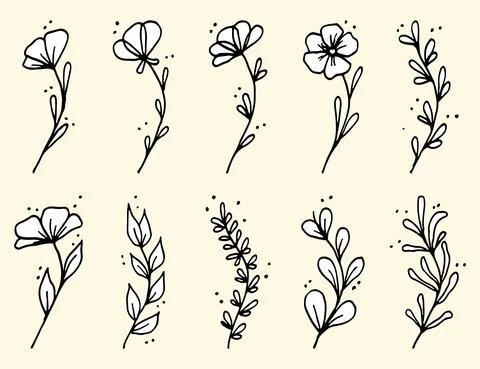 Set of Hand drawn doodle vector leaves and branches. Collection of tree Floral Stock Illustration
