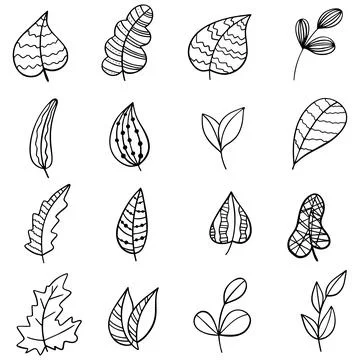 Set of Hand drawn doodle vector leaves and branches. Floral, plant elements Stock Illustration