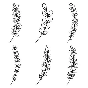 Set of Hand drawn doodle vector leaves and branches. Collection of tree Floral Stock Illustration