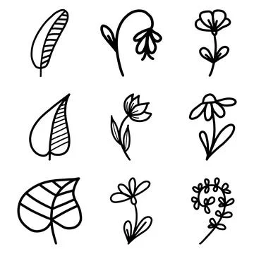 Set of Hand drawn doodle vector leaves and branches. Collection of tree Floral Stock Illustration