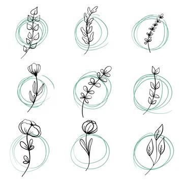 Set of Hand drawn doodle vector leaves and branches. Collection of tree Floral Stock Illustration