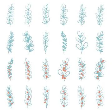 Set of Hand drawn doodle vector leaves and branches. Floral, plant elements Stockillustratie
