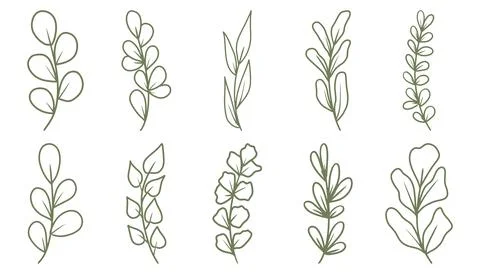 Set of Hand drawn doodle vector leaves and branches. Floral, plant elements Stock Illustration