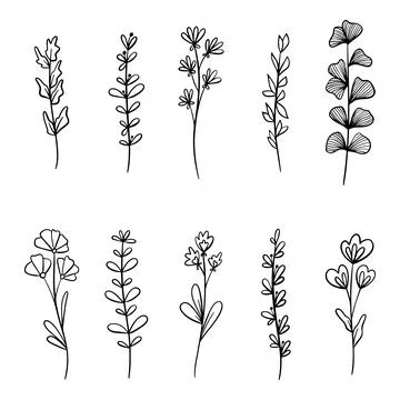 Set of Hand drawn doodle vector leaves and branches. Floral, plant elements Illustrazione stock