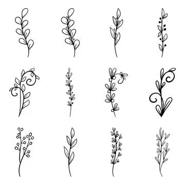 Set of Hand drawn doodle vector leaves and branches. Floral, plant elements 库存插图