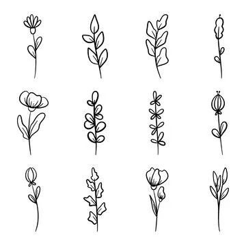 Set of Hand drawn doodle vector leaves and branches. Floral, plant elements Stock Illustration