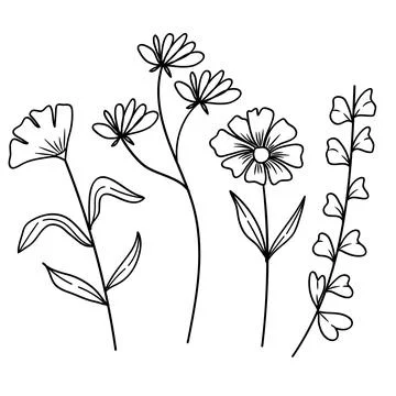 Set of Hand Drawn Doodle Wild Plant and Leaves Line Art. Simple Botanical S.. Stock Illustration