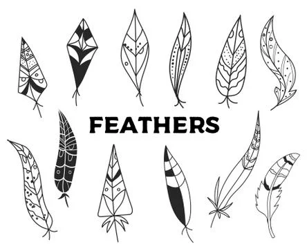 Set of hand drawn feathers isolated on white bacground.Vintage engraving Stock Illustration