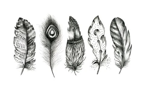 Set of hand drawn feathers on white background. Boho decoration Illustrazione stock