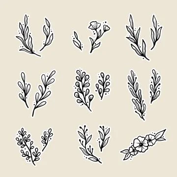 Set of hand drawn floral elements 库存插图