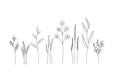 Set of hand-drawn floral elements: plants, branches, leaves, buds, sprouts Stockillustratie