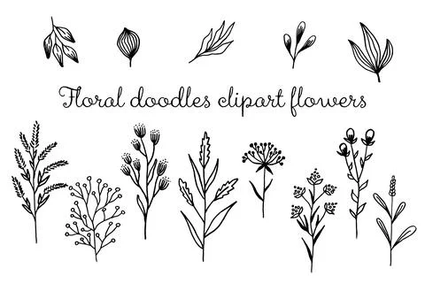 Set of hand-drawn floral elements: plants, branches, leaves, buds, sprouts Stockillustratie