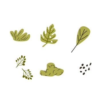 Set of Hand drawn floral elements tropical leaves Stock Illustration
