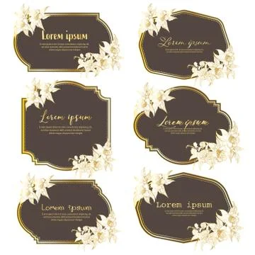 Set of hand drawn floral frame. Geometric frame with hand drawn flower, Botan Stock Illustration