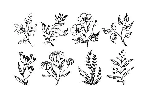Set of hand drawn floral vector with leaves, flowers and branches. Floral ske Stock Illustration