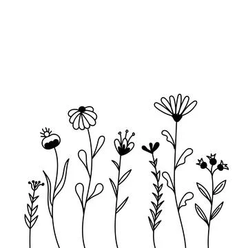 Set of hand drawn floral vector with leaves and branches, Floral sketch Stock Illustration