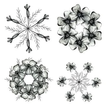 Set of Hand Drawn Flower Circle Compositions. Stock Illustration