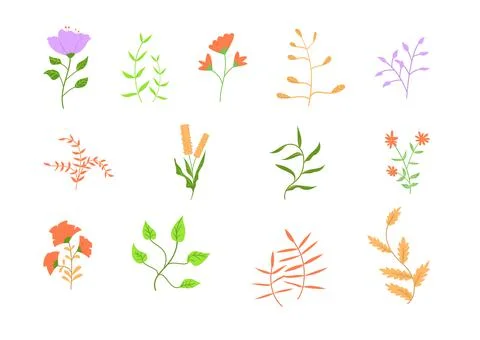 Set of hand-drawn flower in flat vector illustration Stock Illustration