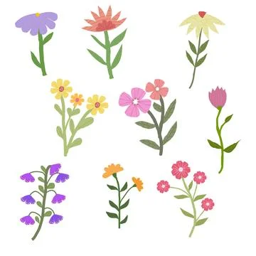 Set of hand drawn flowers Stock Illustration