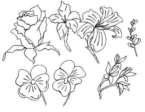 Set of hand drawn flowers in vector performed in doodle style Stock Illustration
