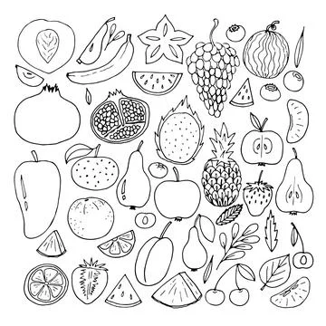 Set of hand drawn fruit and berries icons. Summer fruit collection. Sketch,.. Stock Illustration
