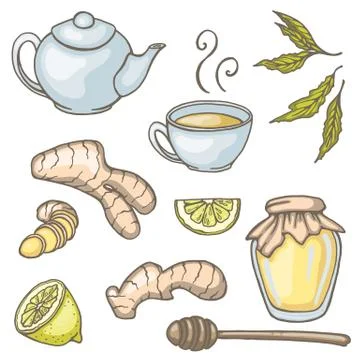 Set of hand drawn ginger tea elements. Vector illustration Stock Illustration