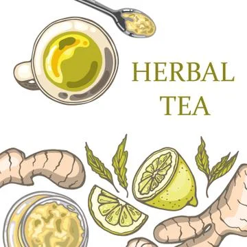 Set of hand drawn ginger tea elements. Vector illustration 스톡 일러스트