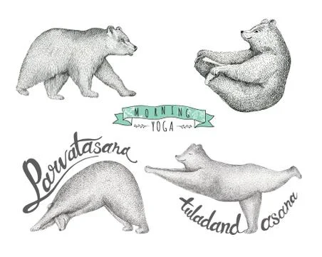Set of Hand drawn illustration. fun a bear isolated Stock Illustration