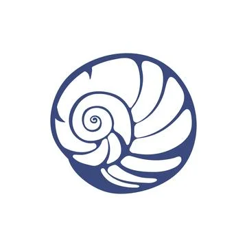 Set of Hand drawn ink vector seashell illustration. Conceptual, naive marine  イラスト素材