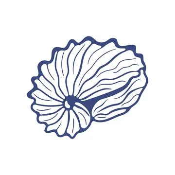 Set of Hand drawn ink vector seashell illustration. Conceptual, naive marine  イラスト素材