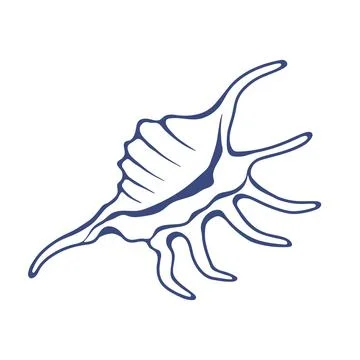 Set of Hand drawn ink vector seashell illustration. Conceptual, naive marine  イラスト素材
