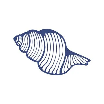 Set of Hand drawn ink vector seashell illustration. Conceptual, naive marine  イラスト素材