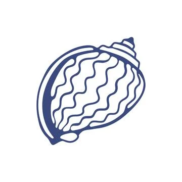 Set of Hand drawn ink vector seashell illustration. イラスト素材