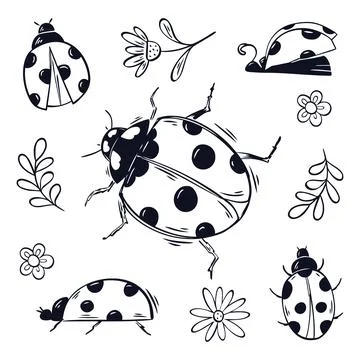 Set of hand drawn ladybug illustrations with flowers and leaves Stock Illustration