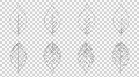 Set of hand drawn leaf sketches isolated on white background Illustration
