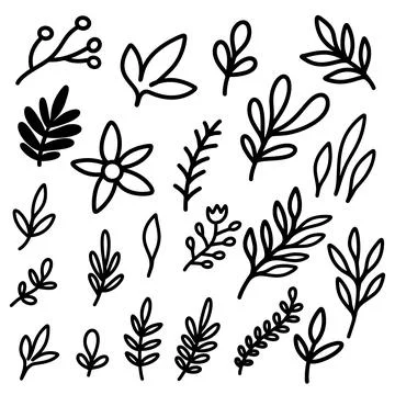 Set of hand drawn leaves, branches, flowers, flourishes. Design element for.. Stock Illustration
