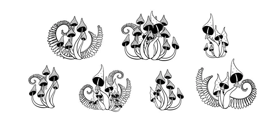 Set of hand drawn magic forest mushrooms, fly agarics and toadstools with ferns Illustrazione stock