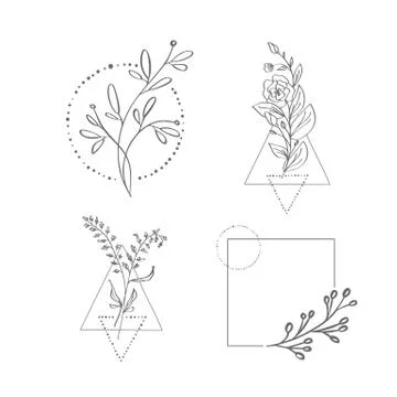 Set of hand drawn minimalistic branch with leaves and geometric elements on Illustrazione stock