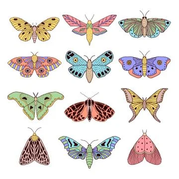 Set of hand drawn moths Stock Illustration