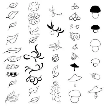 Set hand drawn natural elements isolated on white Stock Illustration