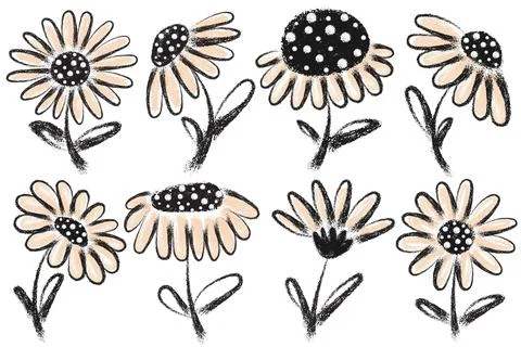 Set of Hand Drawn Neutral Boho Daisy Flowers Brush Style Stock Illustration