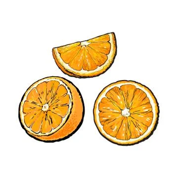 Set of hand drawn orange half, slice and segment Illustrazione stock