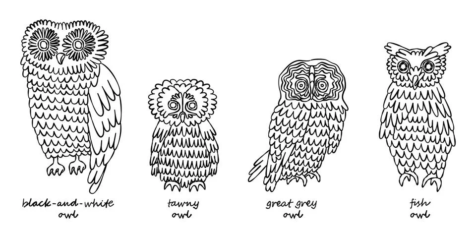 Set of hand drawn owls. Stock Illustration