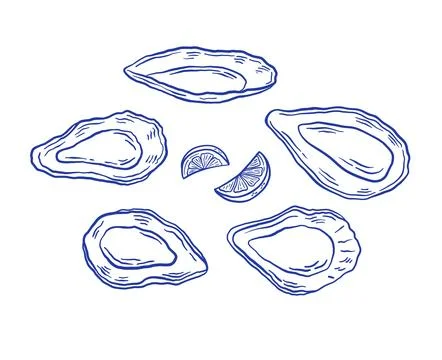 Set of hand drawn oyster with lemon vector illustration. Seafood mussel del.. Illustrazione stock